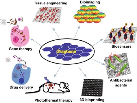  Alginate:  Matière première miracle pour l’impression 3D et les applications biomédicales !