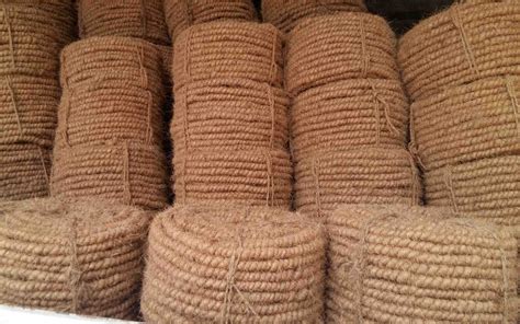 Coir:  Un Materiau Fascinant pour la Fabrication de Substrate Horticole et les Cordages Durables!