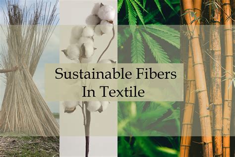 Hemp Fibers: A Durable Choice for Sustainable Textile Innovation and Production