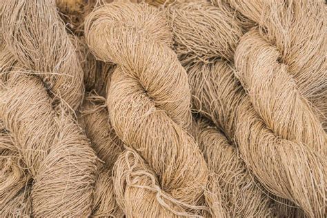 Hemp Fibres: Une Exploration Inquiétante des Propriétés Textiles d'une Plante Miraculeuse !