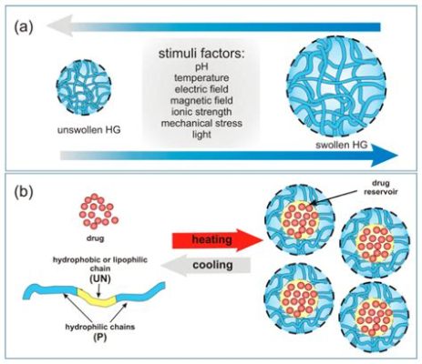  Hydrogels: Une Solution Révolutionnaire pour l'Empaquetage et la Libération Contrôlée de Médicaments?